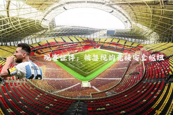 观赛证件:被忽视的竞技安全枢纽